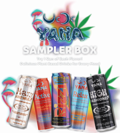 Sampler Box - Find Your Vibe!