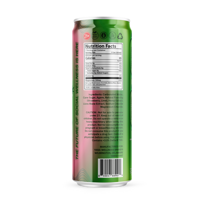 🍹🪇Mello Margarita - THC Seltzer Drink